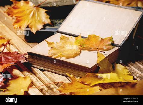 Books and autumn leaves Stock Photo - Alamy