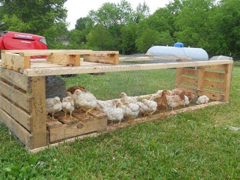 29 pallet Chicken Coop Ideas You Can Build This Weekend - Eco Peanut