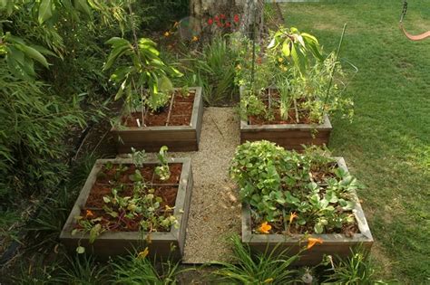 Raised Bed Vegetable Gardening - Landscaping Network