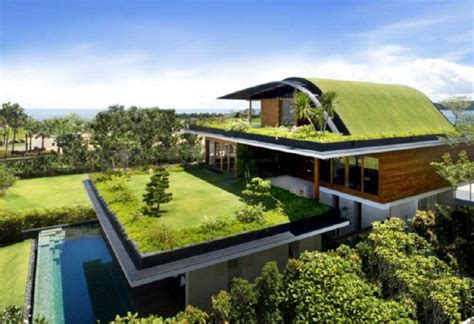 7 Reasons Why You Should Have a Green Roof - Arch2O.com