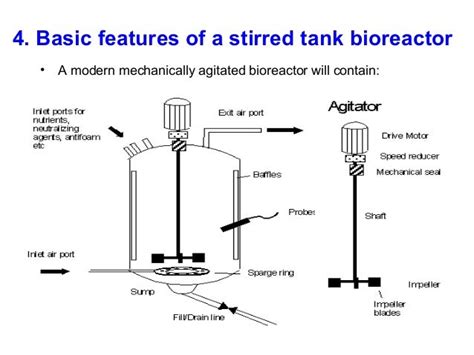 Stirred tank bioreactor