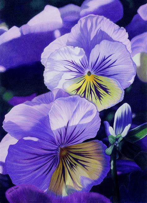 35 Beautiful Flower Drawings and Realistic Color Pencil Drawings – World of Arts