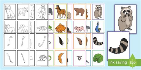 Animal Tails Matching Cards Game - Twinkl Games and Activities