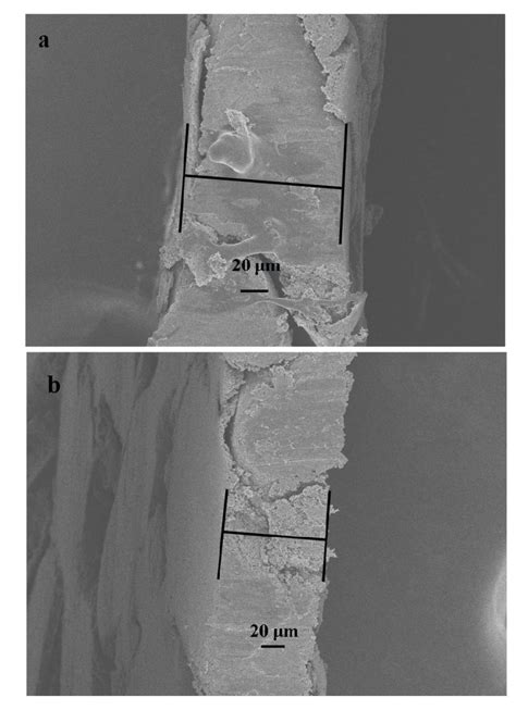 Fig. S1 (a) SEM image of the as-prepared fresh cathode electrode, (b ...