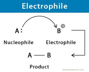 Electrophile: Definition, Strength, and Examples