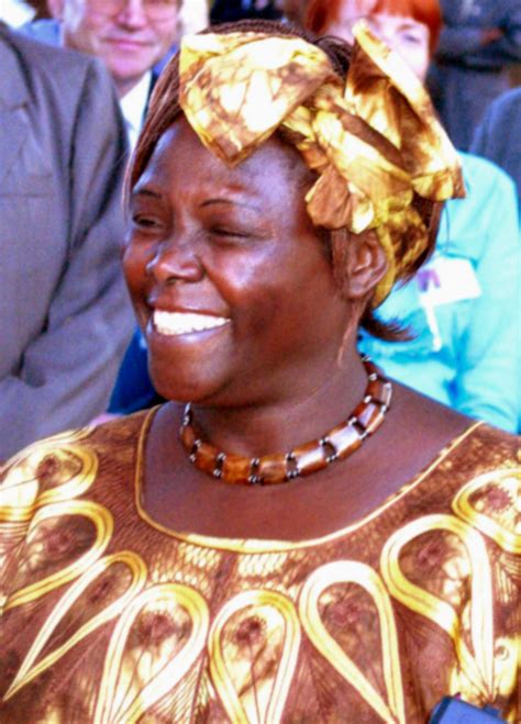 Wangari Maathai Quotes Life. QuotesGram