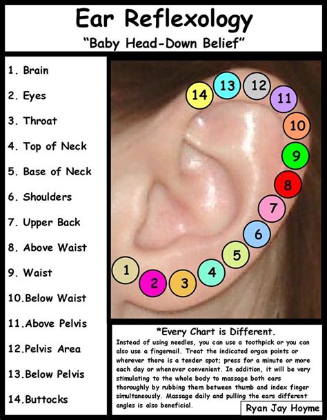 Pin by Michelle Karandrews on body and soul | Reflexology, Ear ...