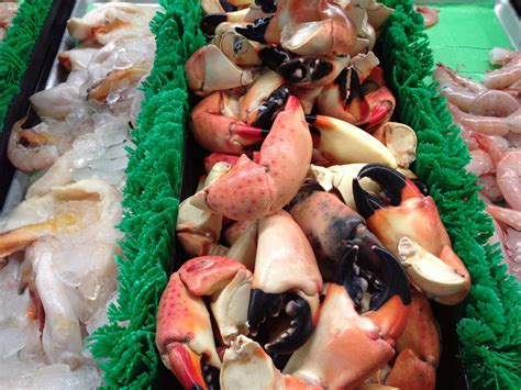 Key West Stone Crab Season Guide | 24 North Hotel