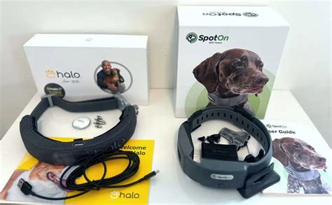 Halo Collar 3 vs SpotOn GPS Fence: We Tried Them...Which Is Better?