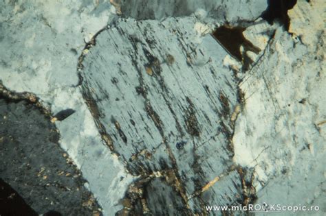 Nepheline thin section - Tectosilicates - MicROCKScopic