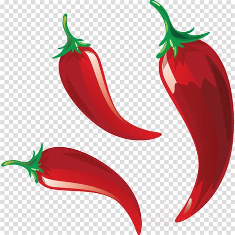 Chili Vector Png - PNG Image Collection