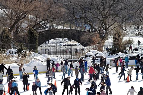 Wollman Rink New York City, Park In New York, Outdoor Ice Skating, Ice ...