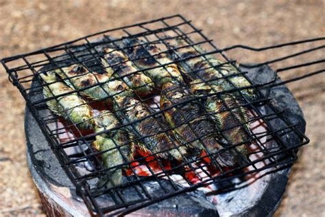 470+ Campfire Cooking Recipes Stock Photos, Pictures & Royalty-Free Images - iStock