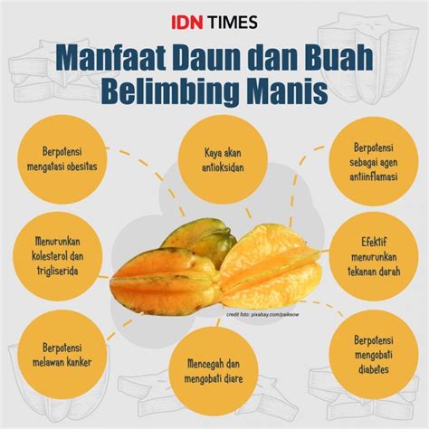 8 Manfaat Daun dan Buah Belimbing Manis bagi Kesehatan