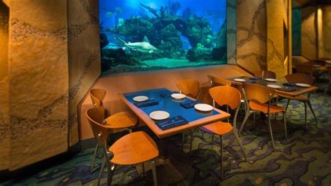 CORAL REEF RESTAURANT, Orlando - Updated 2024 Restaurant Reviews, Menu & Prices - Tripadvisor