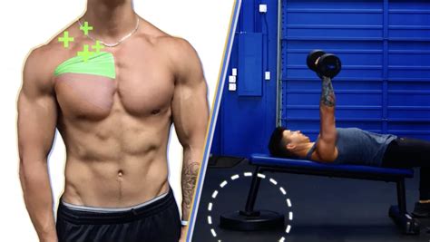 Best Chest Compound Exercises (Backed by Science)