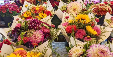 Seattle In Bloom treats downtown hotel visitors to fresh flowers next month | Listed