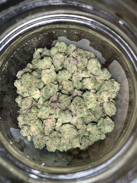 65$ popcorn oz today at Sol Flower Tempe . Picked up Boysenberry Gelato ...