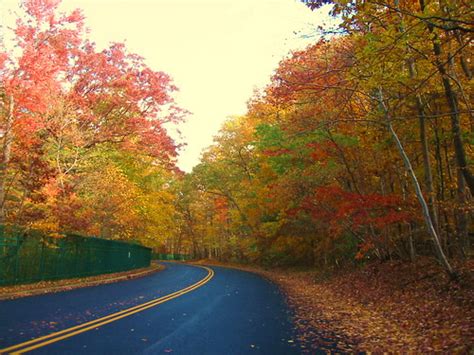 Endangered New Jersey: Fall Foliage in New Jersey