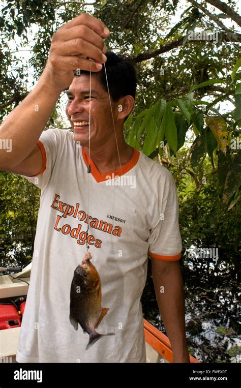 Piranha fishing in the Amazon River near Iquitos, Loreto, Peru. Piranha ...