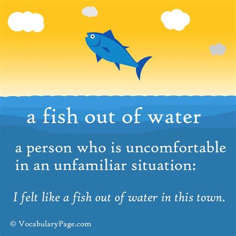 fish out of water | Good vocabulary words, Interesting english words, Idioms and phrases