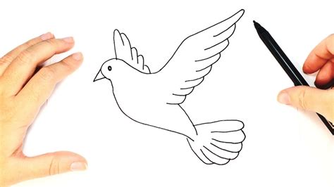 How to Draw a Dove for Kids | Dove Drawing Tutorial - YouTube