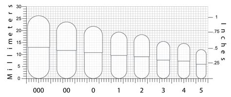 Capsule Size Guide | Interactive Specification Chart