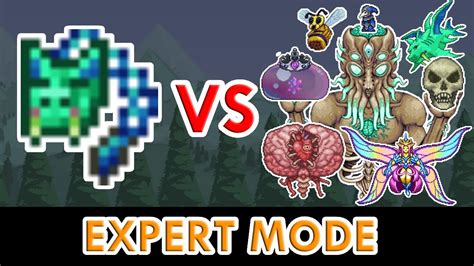 Terraria 1.4 - Flairon vs ALL Bosses (Expert Mode) - YouTube