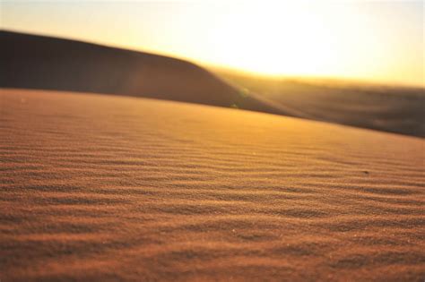 Into the Desert: Sahara Dunes and Surrounding Scenes | Simplicity Relished