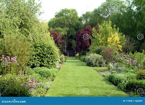 English country garden stock photo. Image of green, flower - 11098