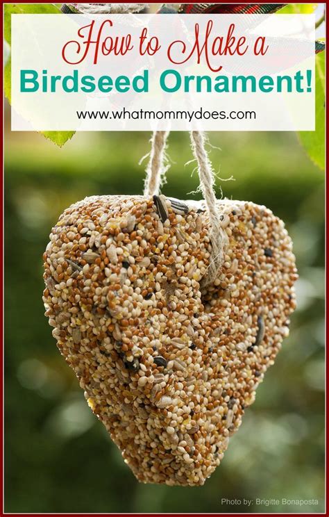 How to Make a Bird Seed Ornament | Bird seed ornaments, Bird seed ...