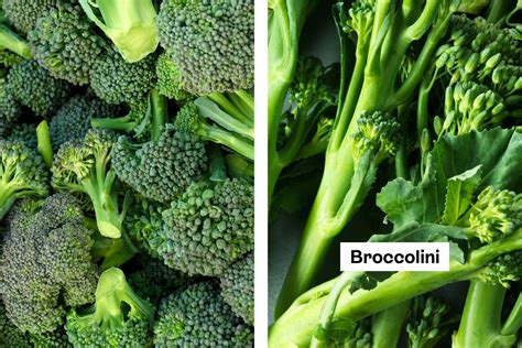 Broccoli vs Broccolini: What's the Difference? | The Kitchn