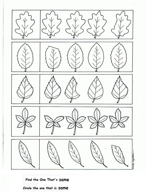 Kindergarten Leaf Outline Worksheet