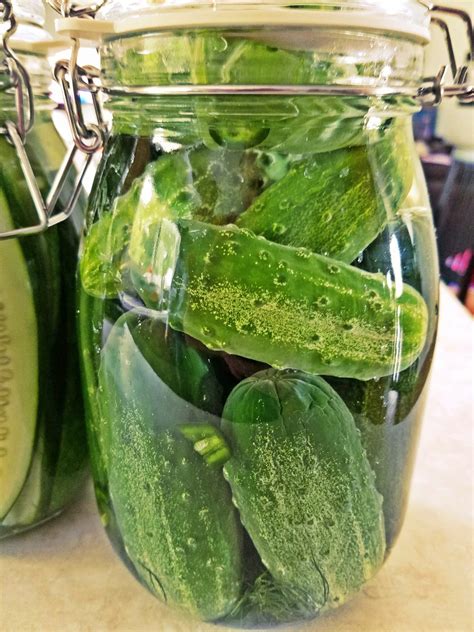 A Simple Fermented Pickles Guide - Grow To Save