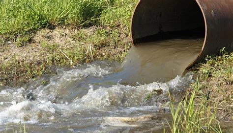 Monitoreando Cadmio en Lodo de Aguas Residuales y Biosolidos | Productos para Acuicultura Hanna ...