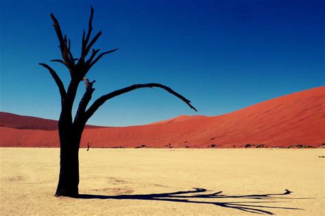 The Most Beautiful Desert Landscapes Of The World | Bored Panda