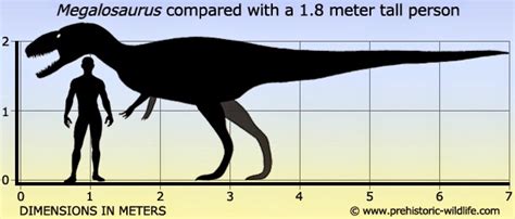 a mesozoic field guide: Megalosaurus