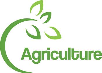 Agriculture wheat logo template icon design Vector Image