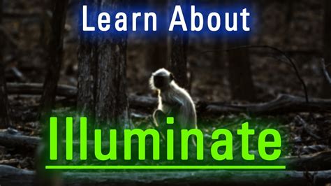 What is Illuminate? | How to Say Illuminate in English? | How Does ...