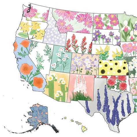 United States State Flower Map - Etsy 日本