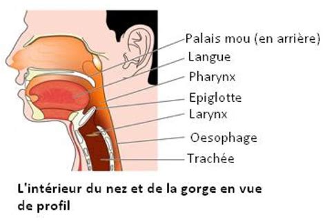 Mal de gorge: quelles sont les causes possibles?