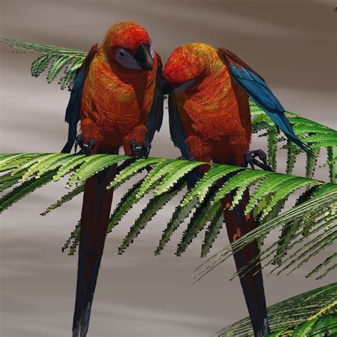 Cuban Red Macaw (Ara tricolor) - Extinct | Extinct and endangered ...