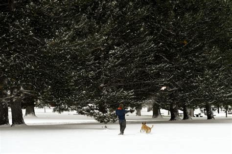 Denver weather: Snow looking likely for metro area Wednesday night