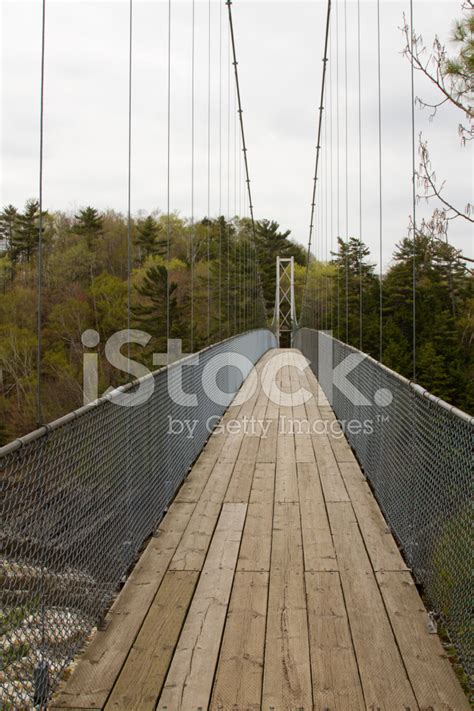 Pedestrian Bridge Over Ravine Stock Photo | Royalty-Free | FreeImages