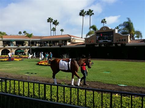 Del Mar Fairgrounds - Stadiums & Arenas - Del Mar - Del Mar, CA - Yelp