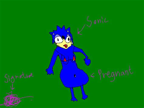 Pregnant Sonic by Hero-Potter on DeviantArt