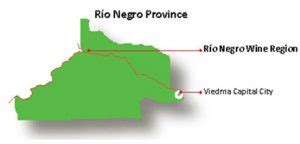 The Patagonia Wine Region - Exploring Wine Regions