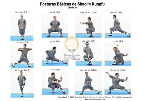 SHAOLIN:POSICIONES BASICAS | Martial arts workout, Martial arts ...