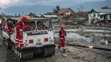 How to help victims of earthquake and tsunami in Indonesia