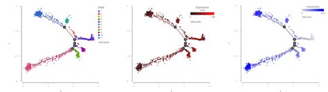 Cellular Differentiation Using Trajectory Analysis & Single Cell RNA-Seq Data – Partek Inc